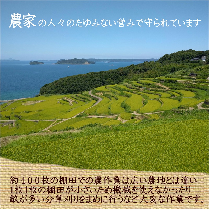 【令和7年産】日本の棚田百選 土谷棚田米 5kg( 米 お米 ごはん コシヒカリ 棚田 土谷棚田 )【B3-094】