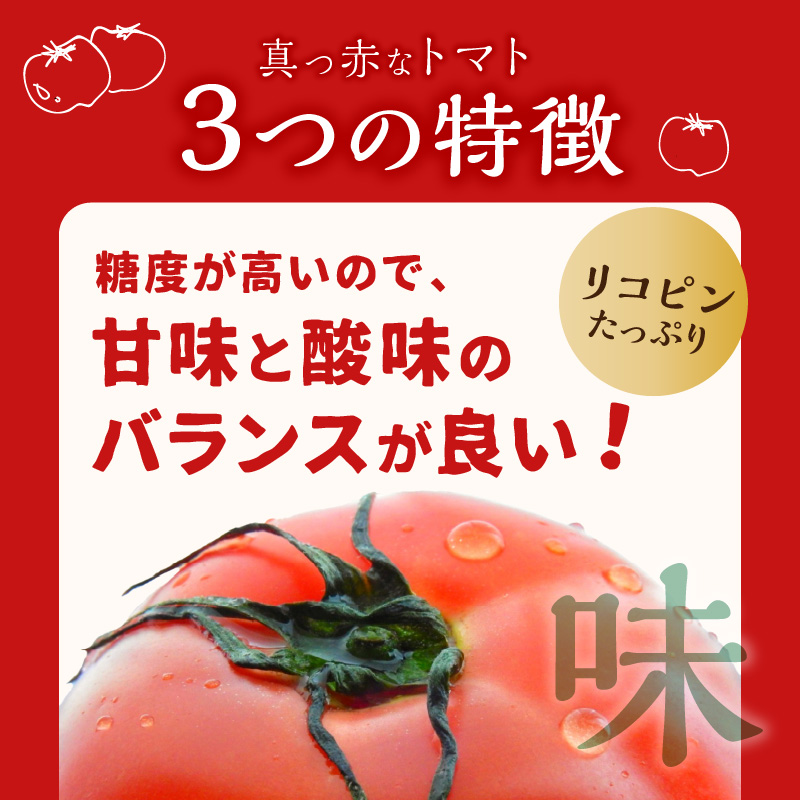 期間限定　真っ赤なトマトわけあり大容量6kg～7kg【A9-014】
