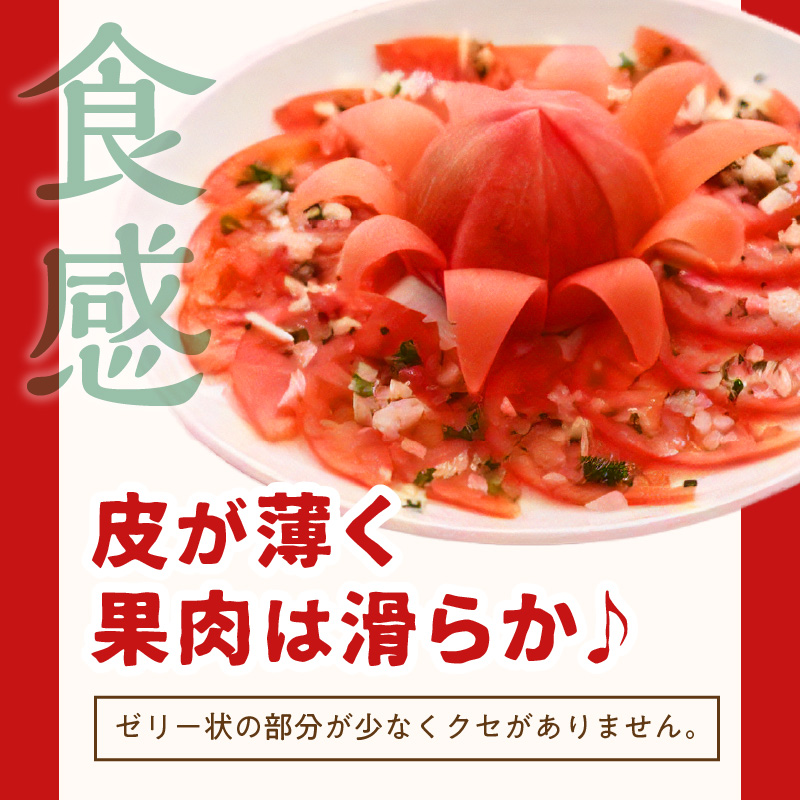 期間限定 真っ赤なトマト3kg～3.5kg【A9-015】