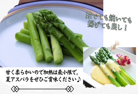 JR九州ファームの夏アスパラガス　Lサイズ1.2kg( アスパラガス アスパラ 夏アスパラ 野菜 甘み 柔らかい 松浦市 )【B0-212】