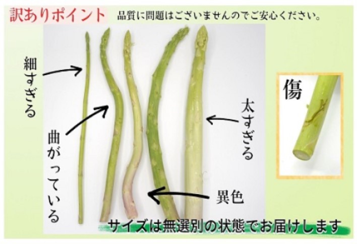 訳ありご家庭用に大活躍！僕とじいちゃんのアスパラガス2kg【B0-225】