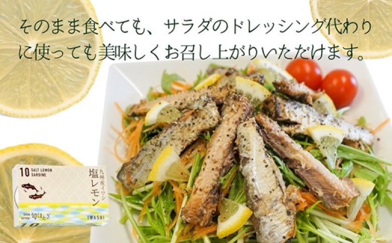 缶詰工場直送 「旬ほとぎ」イワシ塩レモン12缶( いわし イワシ 鰯 缶詰 イワシ缶 いわし缶 鰯缶 ご飯のお供 保存食 )【B0-253】