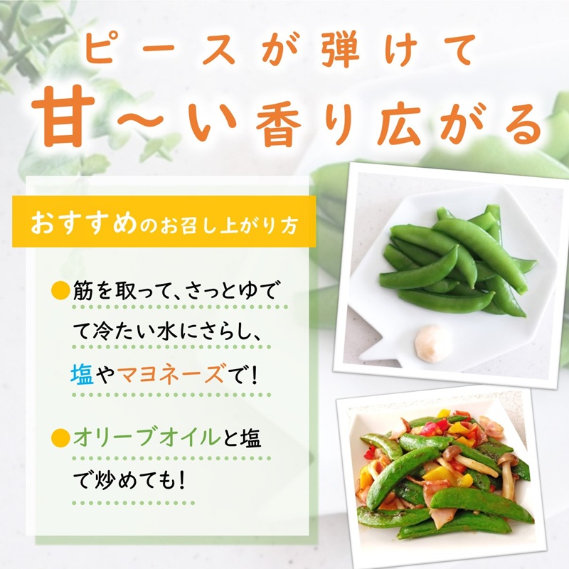 訳あり大容量！みずみずしさ弾ける!鷹島のスナップエンドウ 1.5kg ( 訳アリ えんどう エンドウ 豆 旬の野菜 野菜 新鮮 朝摘み )【B0-246】