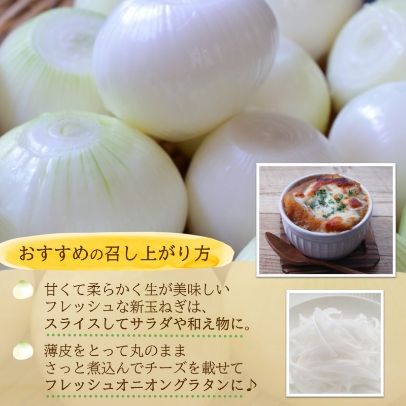 JR九州ファームの 新玉ねぎ 5kg( 玉ねぎ 甘い 野菜 新玉ねぎ 野菜 国産 送料無料 )【B0-247】