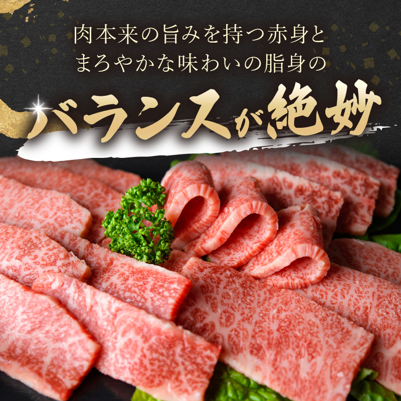 訳あり！【A4～A5】長崎和牛焼肉切り落とし(肩ロース・バラ)500g( 牛肉 おすすめ 長崎和牛 バーベキュー 焼肉 切り落とし 冷凍 国産 送料無料 )【B1-188】