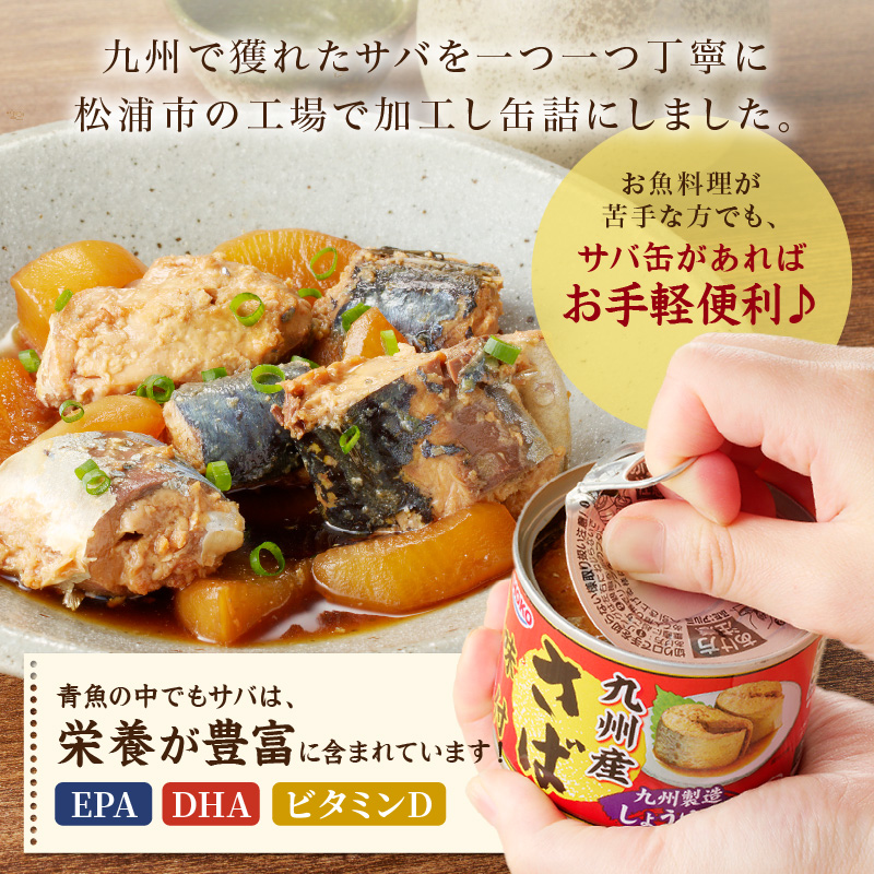 さば味付缶セット(12缶)( さば サバ 鯖 さば缶 サバ缶 非常食 保存食 簡単調理 )【B3-098】