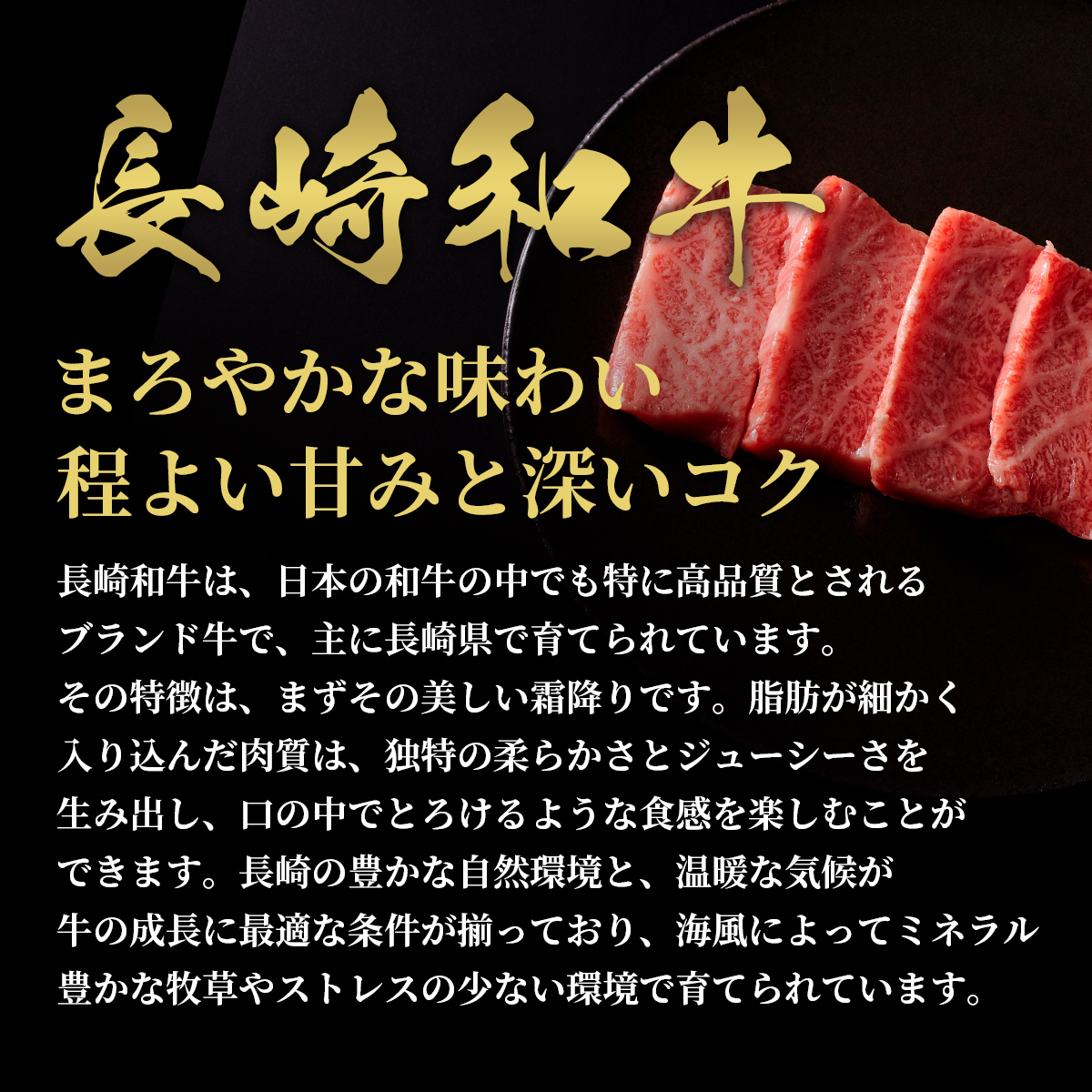 【和牛セレブ】長崎和牛焼肉肩ロース 200g ( 長崎和牛 和牛 焼肉 肩ロース )【B3-065】