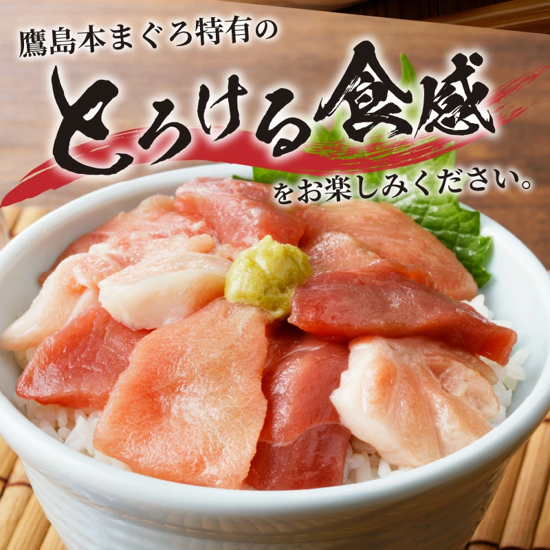 鷹島産本まぐろ 贅沢まぐろ たっぷり2人前(赤身と中・大トロの切り落とし200g)×2パック( まぐろ マグロ 鮪 大トロ 中トロ 赤身 本まぐろ 切り落とし 簡単解凍 )【B3-092】