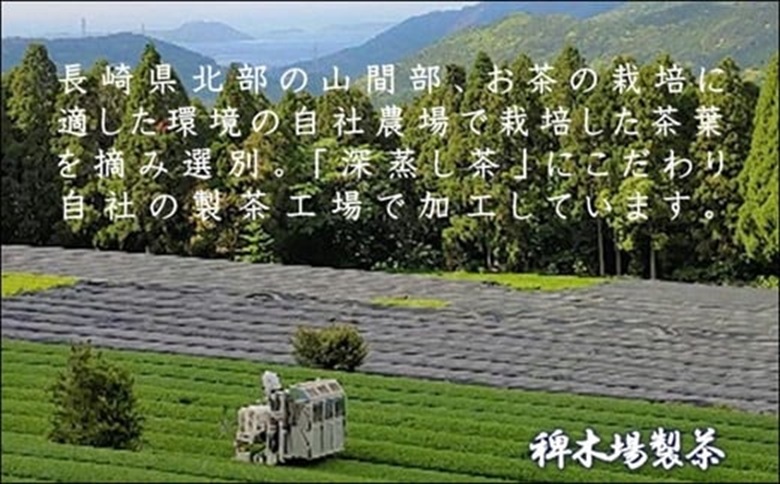 松浦茶セット(特上100g×2　高級100g×2)【B4-108】