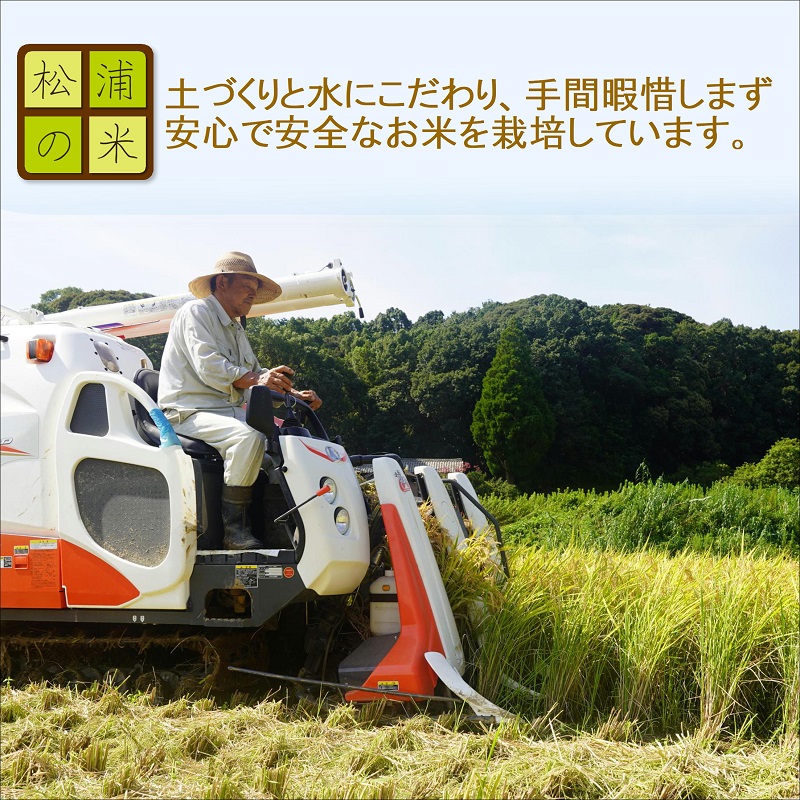 【 令和7年 新米 】つづら水源の森を流れる水が育む松浦の米「ヒノヒカリ又はコシヒカリ」石倉の誉10kg( 米 コメ お米 コシヒカリ ヒノヒカリ 10kg 10キロ 精米 国産 石倉の誉 送料無料 )【C7-029】