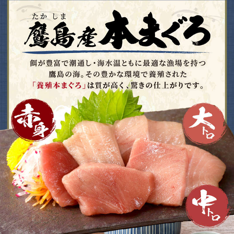 鷹島産本まぐろ 食べきりサイズ(80g×4p)とアジフライのセット(4枚×2p) ( 本まぐろ マグロ 鷹島産本まぐろ アジフライ あじ フィレタイプ ) 【B4-134】