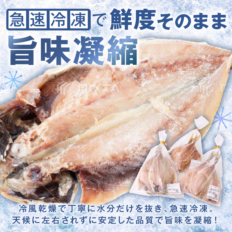 松浦・潮風のたより Ｂｉｇ(イカあり)( 松浦市 アジ イカ サバ カマス レンコダイ 干物 アジ開き サバフィレ 一夜干し 詰め合わせ )【B5-118】