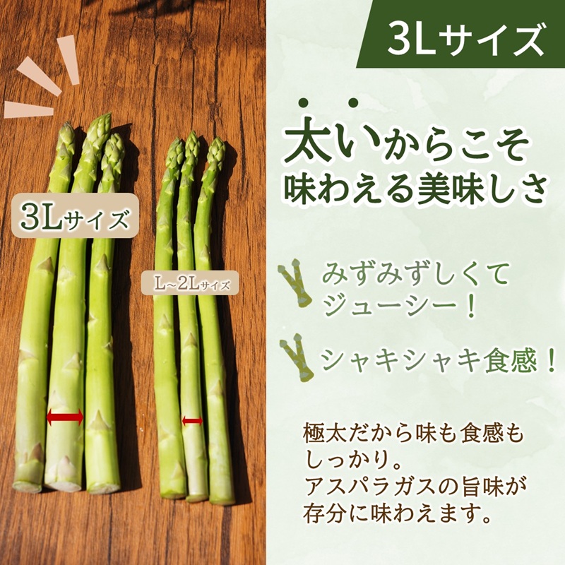 JR九州ファームのグリーンアスパラガス 3Lサイズ 1kg ( アスパラガス グリーンアスパラガス 国産 送料無料 長崎県 松浦市 )【B5-131】