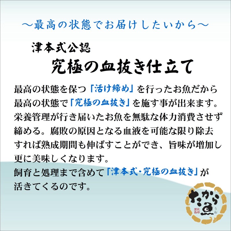 ～津本式・究極の血抜き仕立て～おいしかタイ1.2kg( 松浦 養殖 真鯛 長期熟成 津本式 究極の血抜き 保栄水産 )【B8-045】
