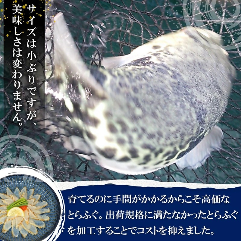 訳ありサイズ！驚きの逸品「高級とらふぐ炙りてっさ」5人前( 訳あり とらふぐ ふぐ トラフグ フグ 松浦市 高級 炙りてっさ )【B7-029】