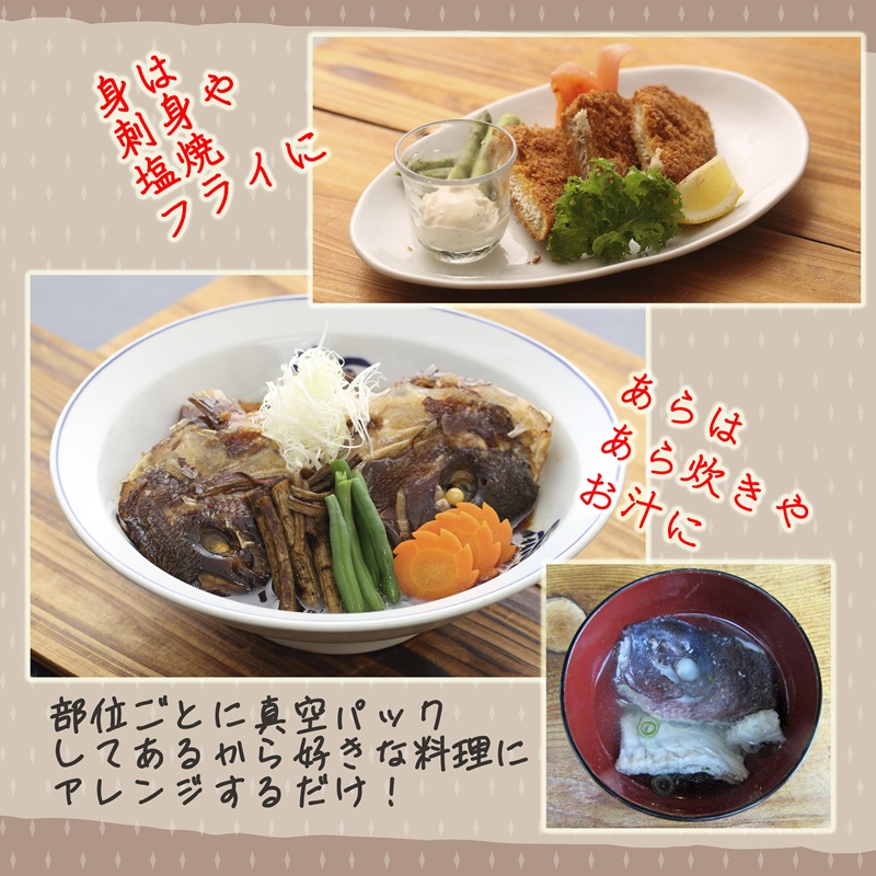 真鯛1匹柵どり済みで刺身・焼物・煮物に扱いやすさ抜群！よか鯛バイ！【B9-020】