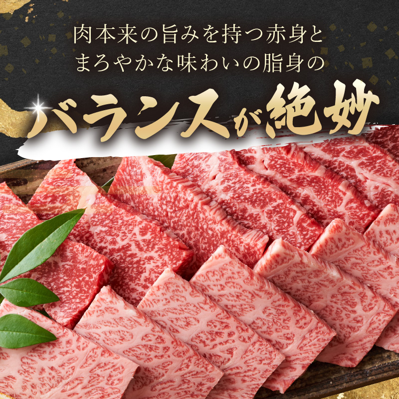 訳あり！【A4～A5】長崎和牛焼肉用 500g×2P( 牛肉 牛 和牛 国産 焼肉 おすすめ 赤身 美味しい バーベキュー プレゼント ギフト 送料無料 お取り寄せ )【C2-050】