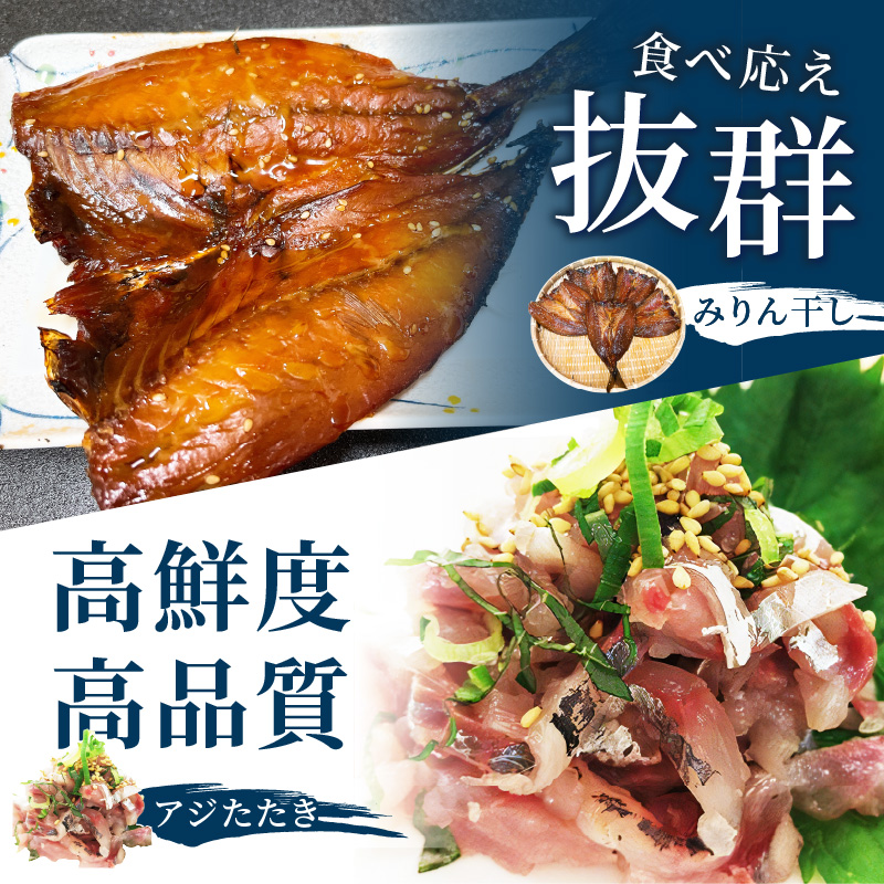 「青のまち 松浦」アジ堪能コース定期便全3回【2ヶ月毎配送】( 真アジ 鯵 アジ あじ アジフライ おかず つまみ 揚げ物 魚 魚介類 海の幸 鮮魚 おつまみ 一品長崎県 松浦市 ふるさと納税 )【D1-034】