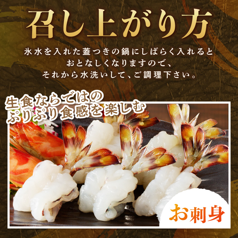 【宅配BOX不可】新松浦漁協　活きくるまえび1kg( ふるさと納税 車海老 クルマエビ 車エビ 車えび くるまえび 海老 エビ えび 海鮮 送料無料 活き車えび )【D4-012】