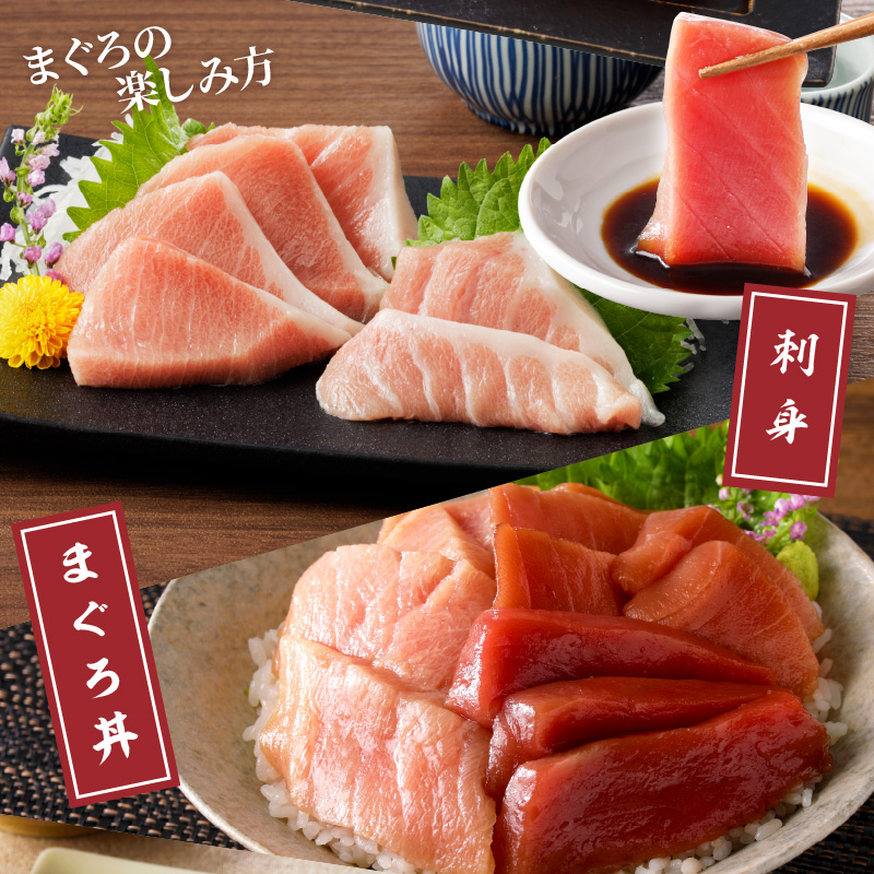 鷹島本まぐろ柵(赤身・中トロ・大トロ) 合わせて800g( マグロ まぐろ 赤身 中トロ 大トロ 本まぐろ 手軽 おつまみ 柵 流水解凍 )【D3-013】