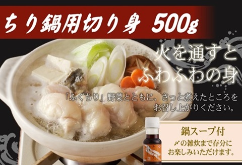 漁協直送！とらふぐ刺身とちり鍋セット3～4人前（白子、茶漬け付）【F7-001】