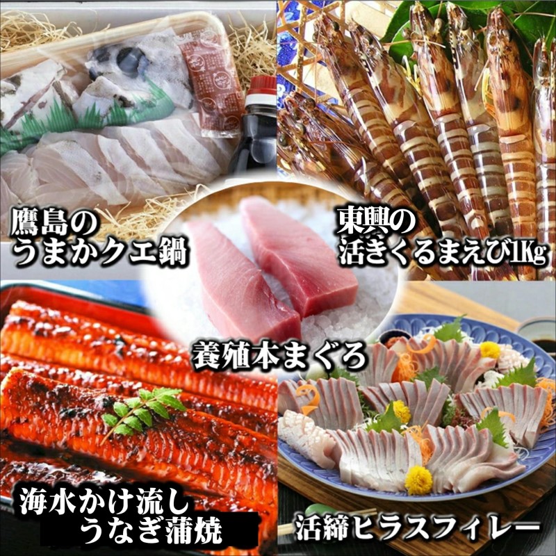 お届けオーダーメイド！松浦お魚パラダイスDX( たい茶漬 タイ とらふぐ 本まぐろ うなぎ アジフライ くるまえび クエ ヒラス )【L60-004】