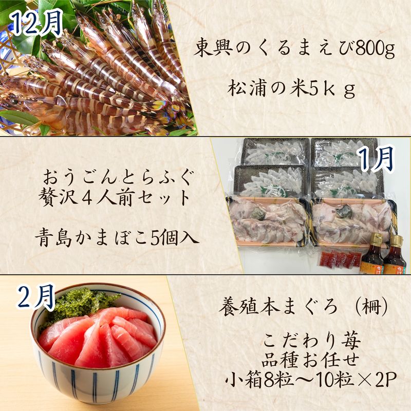 松浦よかとこ玉手箱★2025大箱【定期便】( 海の幸 山の幸 詰め合わせ 定期便 美味しい 海産物 野菜 果物 米 肉 果物 松浦市 )【N20-001】
