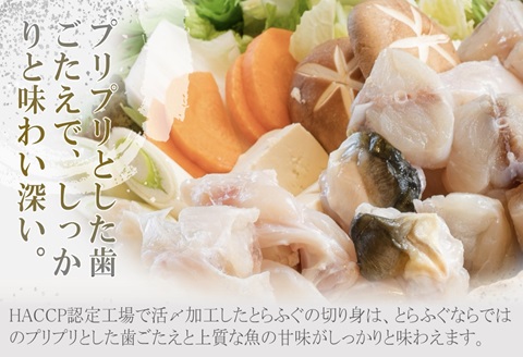 活〆おうごんとらふぐ贅沢2人前セット【D0-044】