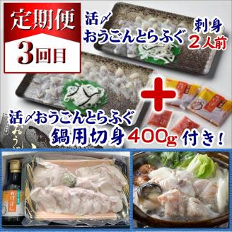 【全3回定期便】活〆おうごんとらふぐ刺身2人前セット　3回目鍋用切身400g付【G0-013】