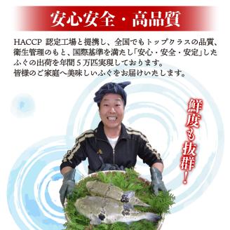 【全3回定期便】活〆おうごんとらふぐ刺身4人前セット( 定期便 海鮮 とらふぐ 刺身 )【H8-002】