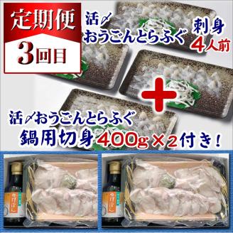 【全3回定期便】活〆おうごんとらふぐ刺身4人前セット　3回目鍋用切身800g付【K08-002】