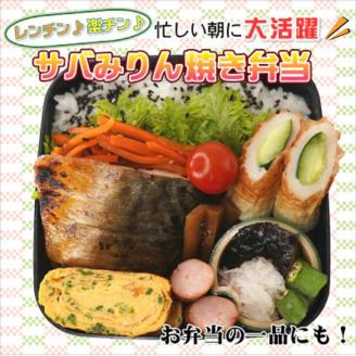 【全3回定期便】袋のままレンジで本格焼き魚5種セット【D9-002】