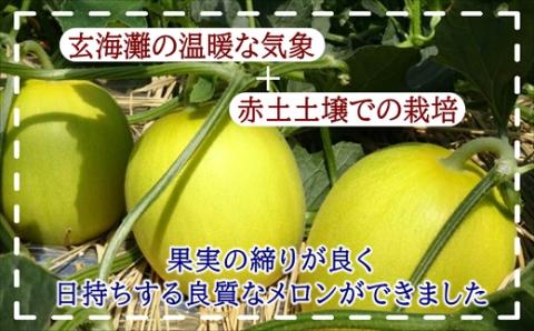 爽やかな初夏の香　キンショーメロン５ｋｇ【B3-073】