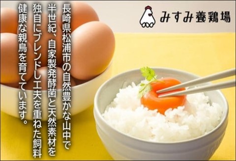 養鶏場直送!松浦の赤たまご(40個)【B1-152】