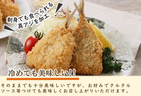 「アジフライの聖地　松浦」アジフライ三昧プラスセット【B9-021】