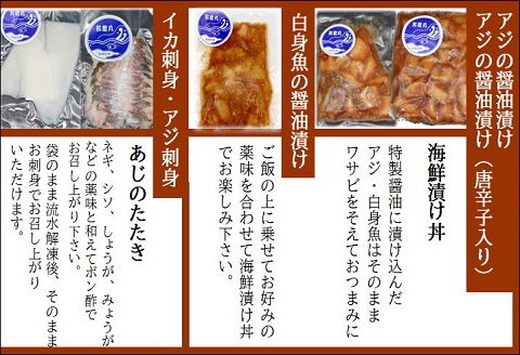 飛龍丸漁師直伝　下処理不要！流水解凍ですぐ使える旬のお魚セット( アジ イカ タコ なめろう 下処理済 小分け )【B5-105】