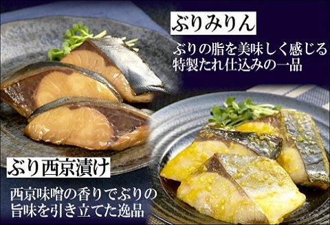 漁協直送！焼き魚5種5袋セット【B0-224】