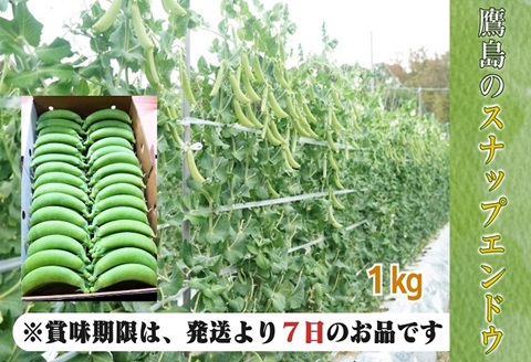 《期間限定》みずみずしさ弾ける！鷹島のスナップエンドウ1kg( えんどう エンドウ 豆 旬の野菜 野菜 新鮮 朝摘み 長崎県 松浦市 )【B0-226】