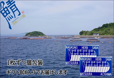 サバがこんなに美味しいなんて！長崎ハーブ鯖の「炙りしめ鯖」2枚【B3-018】