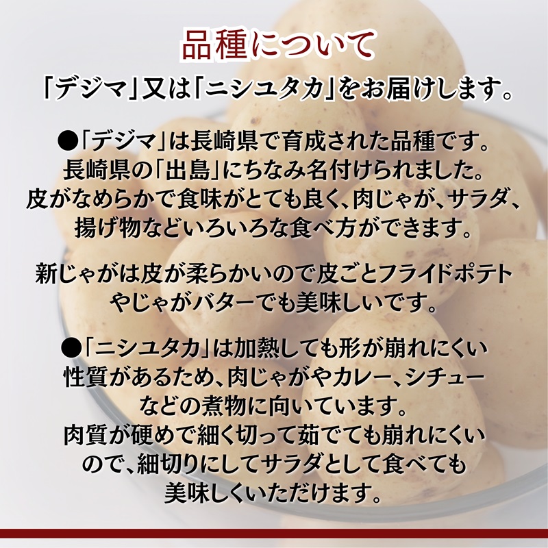 訳あり！農家直送のじゃがいも お試し3kg ( 訳あり じゃがいも いも 肉じゃが サラダ フライドポテト カレー シチュー 煮物 )【A6-042】