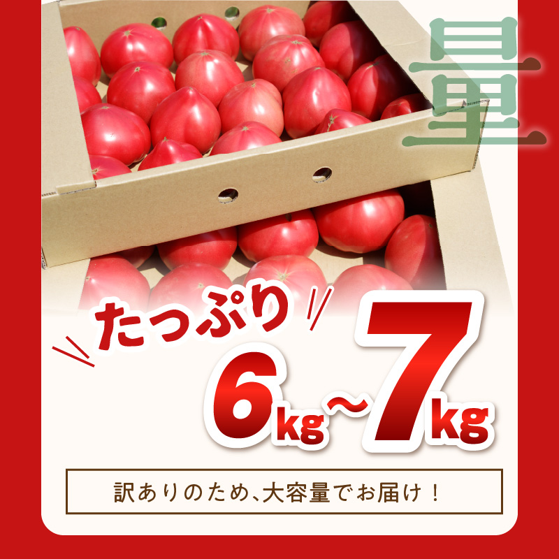 期間限定　真っ赤なトマトわけあり大容量6kg～7kg【A9-014】