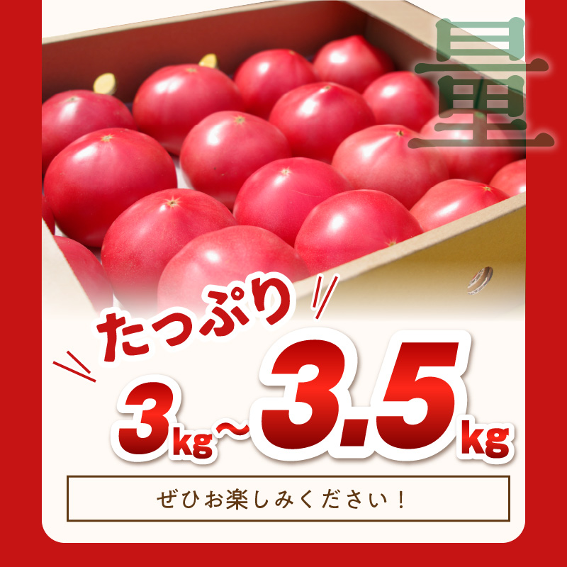 期間限定 真っ赤なトマト3kg～3.5kg【A9-015】
