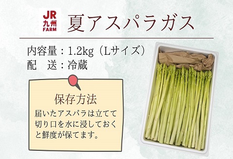 JR九州ファームの夏アスパラガス　Lサイズ1.2kg( アスパラガス アスパラ 夏アスパラ 野菜 甘み 柔らかい 松浦市 )【B0-212】