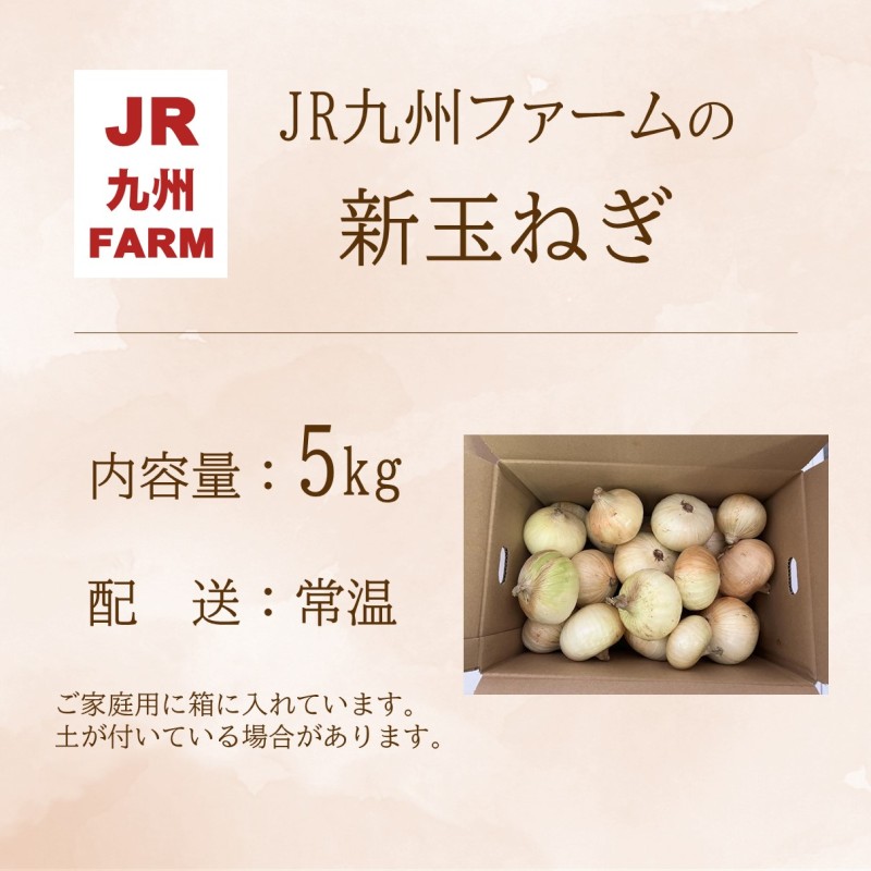 JR九州ファームの 新玉ねぎ 5kg( 玉ねぎ 甘い 野菜 新玉ねぎ 野菜 国産 送料無料 )【B0-247】