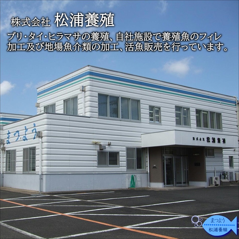 ぶりアラ炊きにぴったり カット済みぶりの旨いところ 4kg( ぶり 鰤 松浦産 アラ アラ炊き 煮つけ )【B0-263】