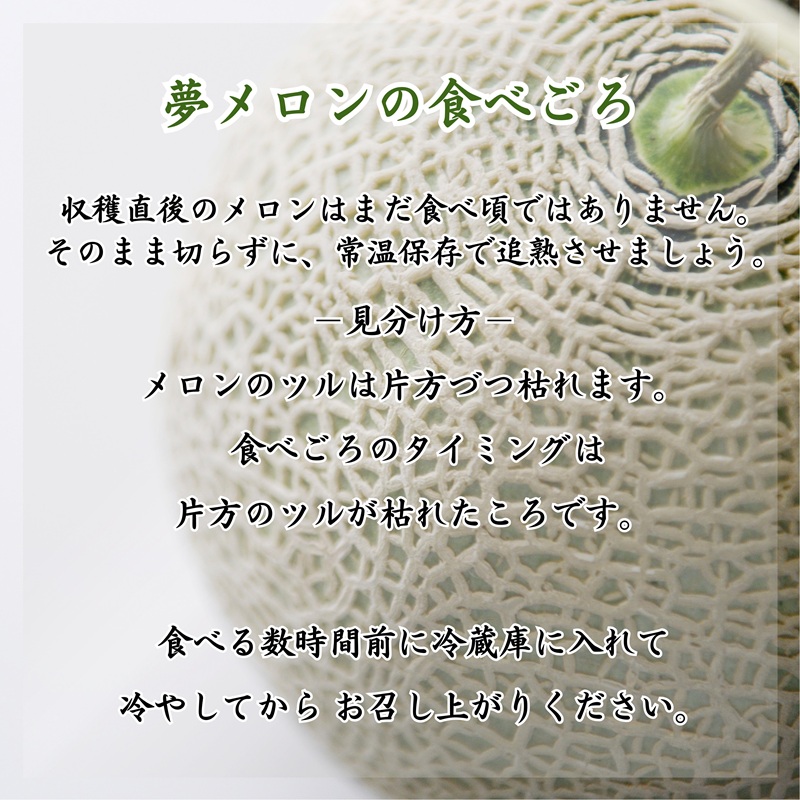 1.4㎏以上！大玉アールスメロン　夢メロン2玉入り( メロン 大玉 夢メロン アールスメロン )【B0-202】