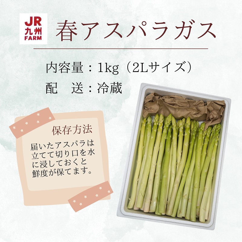 JR九州ファームの春アスパラガス　2Lサイズ1kg( 野菜 新鮮 アスパラガス アスパラ 春アスパラ 甘み )【B2-202】