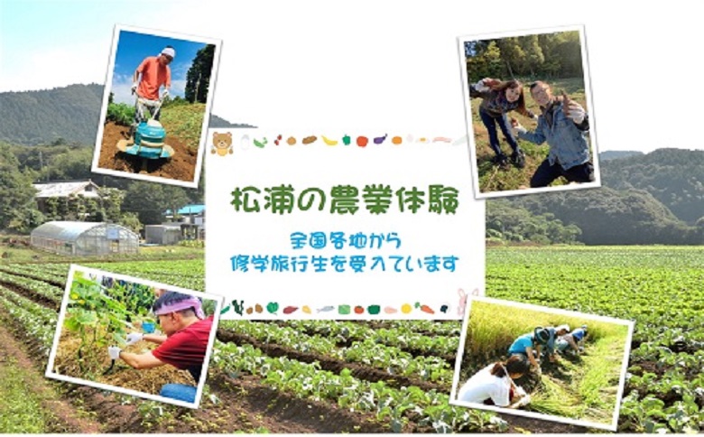 農漁村体験の聖地「松浦党の里」旬の野菜セット( 野菜 旬 旬の野菜 野菜詰め合わせ 地元野菜 地元食材 松浦産 )【B3-080】