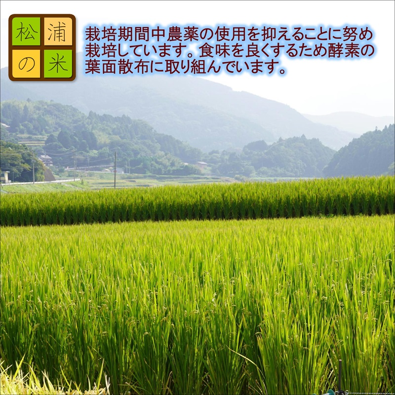 【 令和7年 新米 】松浦の寒暖差が味の決め手!特A評価獲得の品種「なつほのか」棚田浮立の里のお米10kg( コメ 米 なつほのか 白米 精米 国産 送料無料 )【C7-032】