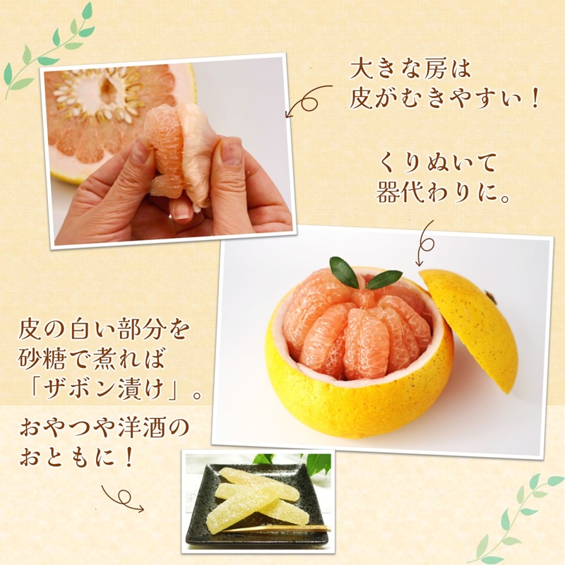 『期間限定』柑橘の王様！「長崎ザボン」果汁あふれる大きな果肉の 紅まどか(4～5玉) ( 長崎ザボン ザボン 果物 紅まどか )【B4-111】